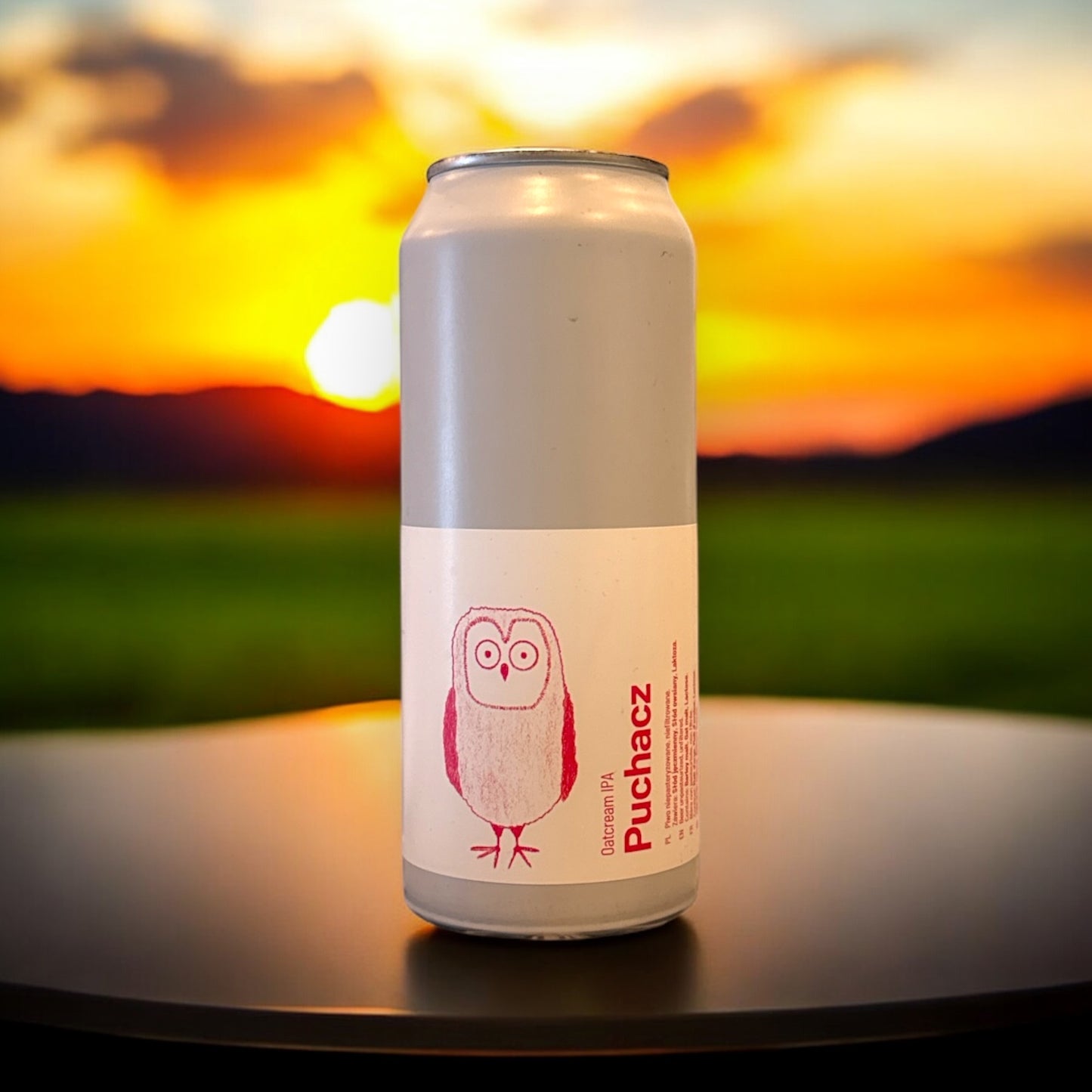ZIEMIA OBIECANA PUCHACZ OATCREAM IPA 500ml