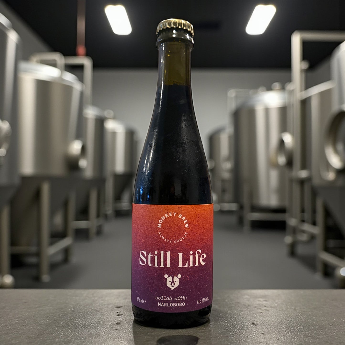 MONKEY BREW w/ MARLOBOBO STILL LIFE SOUR MEAD BOTELLA 375ml