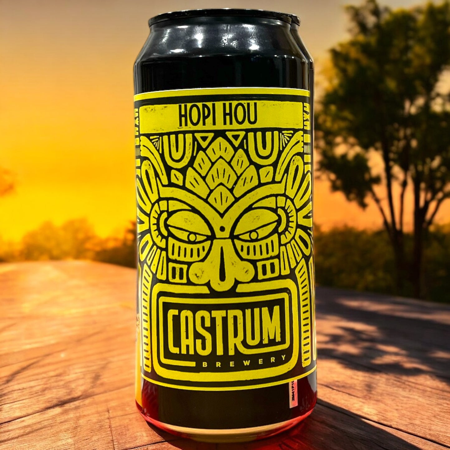 CASTRUM. HOPI HOU. NZ HAZY IPA. LATA 440 ML.