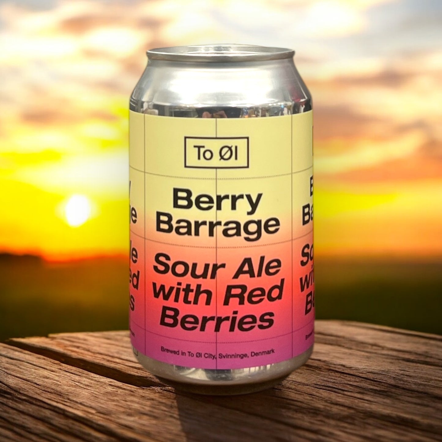 TO OI BERRY BARRAGE SOUR ALE CON FRUTOS ROJOS LATA 330 ML.