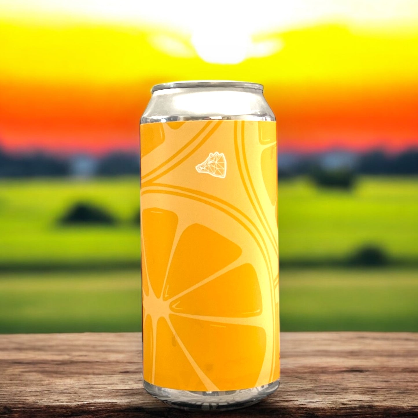 SALTUS ZENITAGOIA FRUIT GOSE 440ml