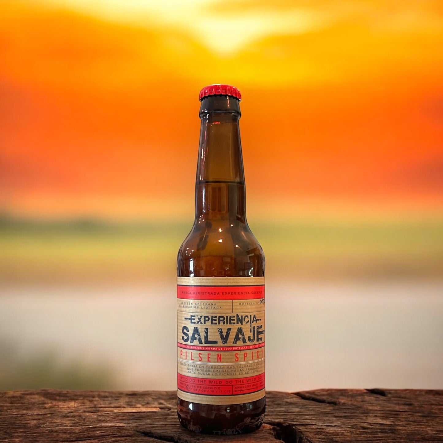 MICA EXPERIENCIA SALVAJE PILSEN SPICY BOTELLA 330 ML.
