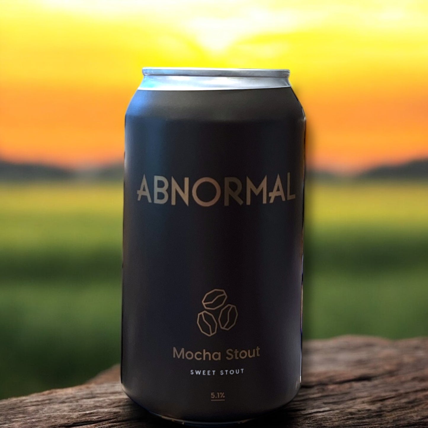 ABNORMAL BEER MOCHA STOUT 35.5cl