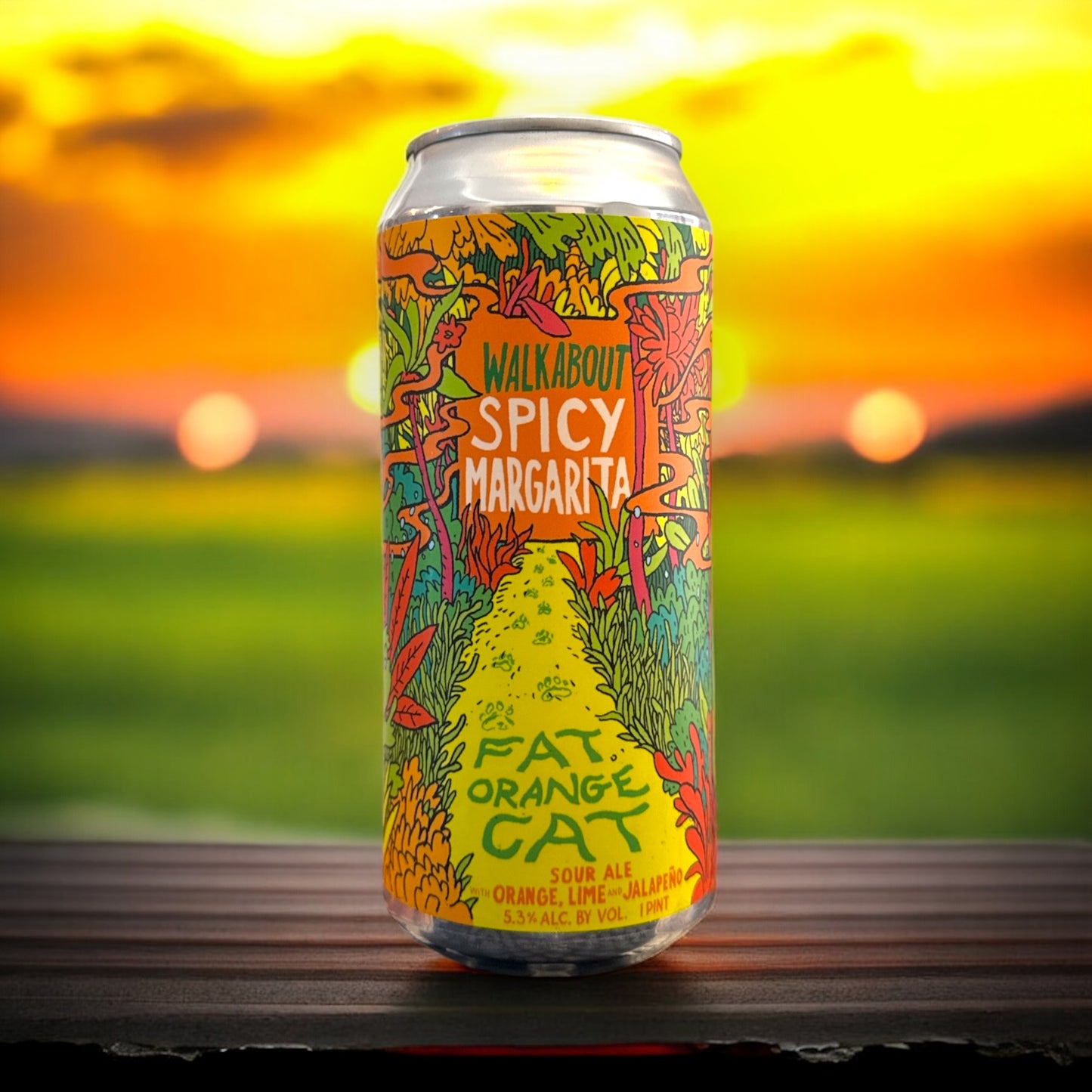 FAT ORANGE CAT WALKABOUT SPICY MARGARITA SOUR ALE LATA 473ml