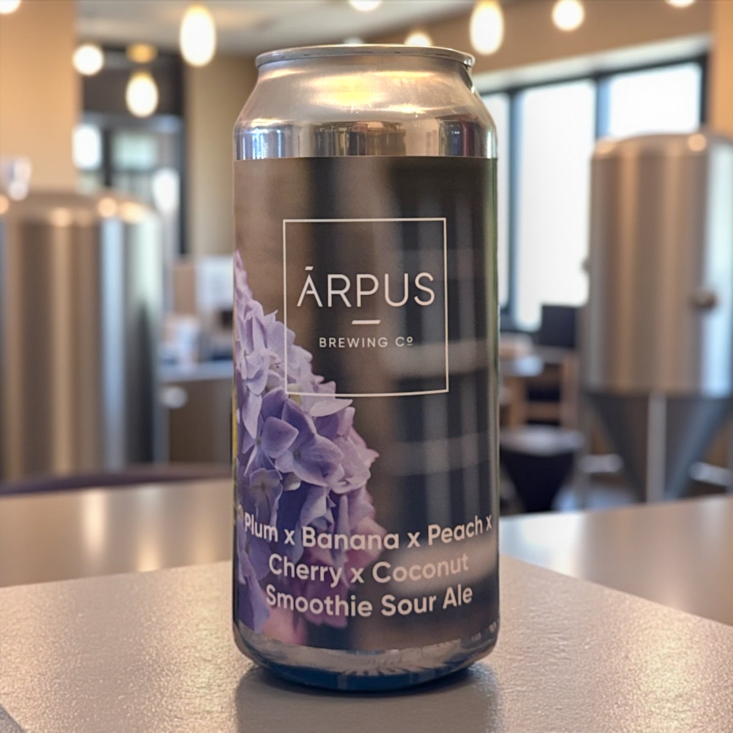 ARPUS PLUM X BANANA X PEACH X CHERRY X COCONUT SMOOTHIE SOUR ALE LATA 440ml