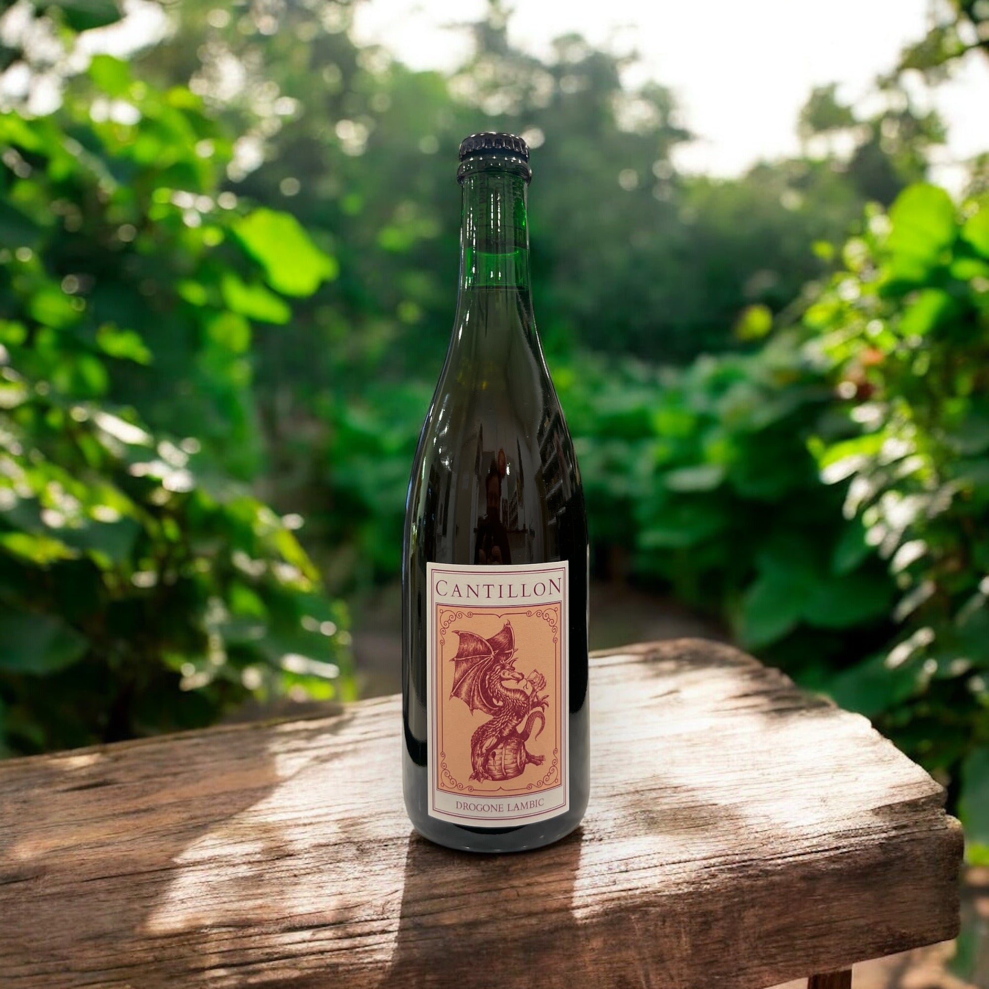 CANTILLON DROGONE LAMBIC BOTELLA 750ml - Hidden Beers