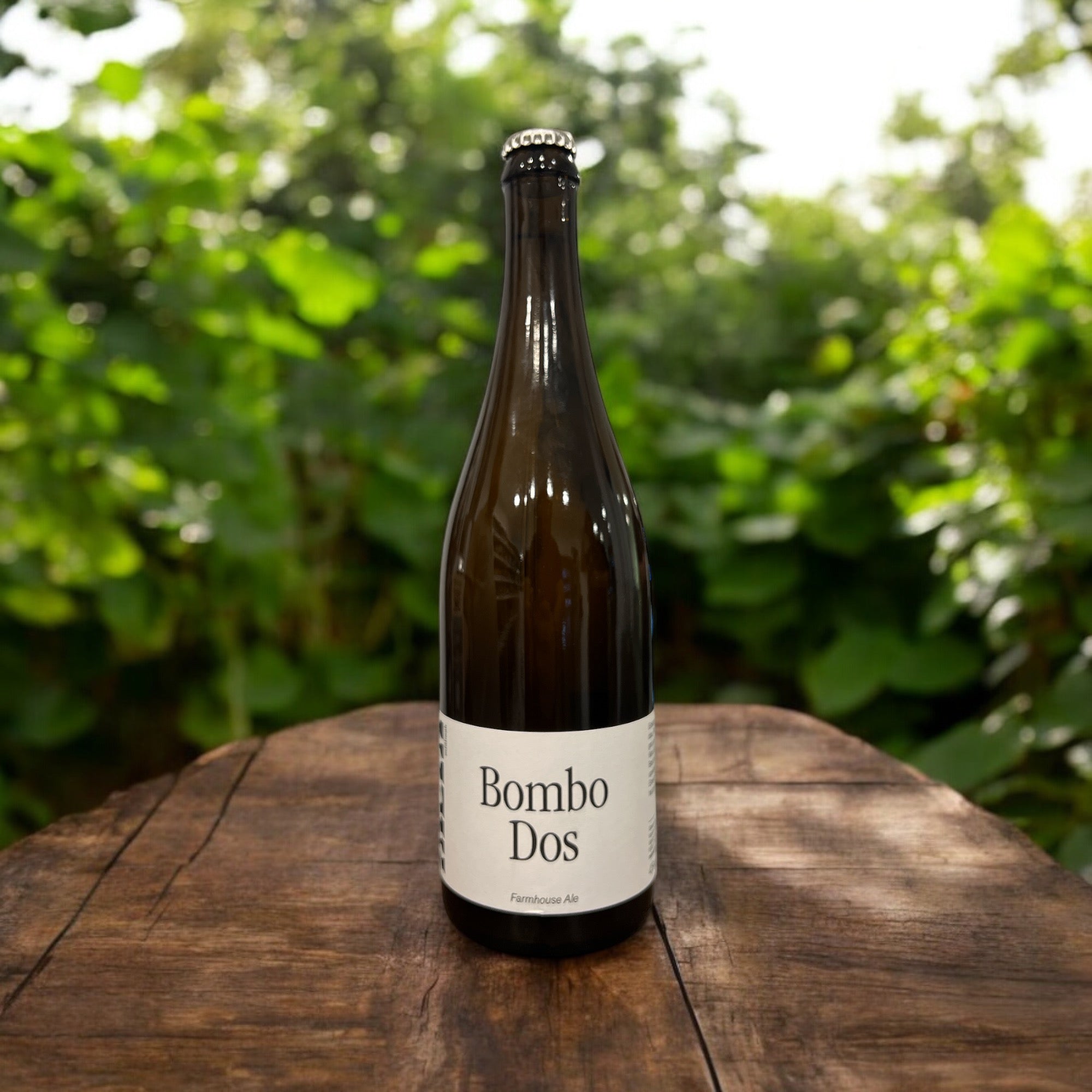 META BOMBO DOS FARMHOUSE ESTILO GRISETTE  BOTELLA 750ml - Hidden Beers