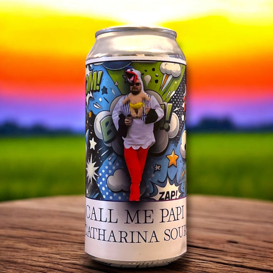 JOINT BREWING W/ KOSMONAUTA AND VOGELSANG CALL ME PAPI CATHARINA SOUR 440ml